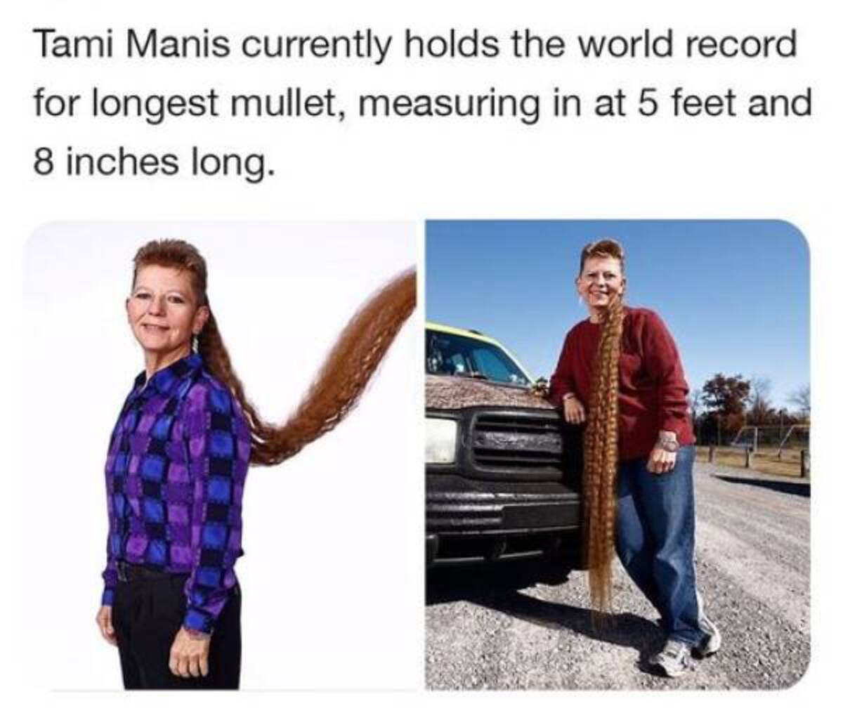 tammy longest mullet - Tami Manis currently holds the world record for longest mullet, measuring in at 5 feet and 8 inches long.