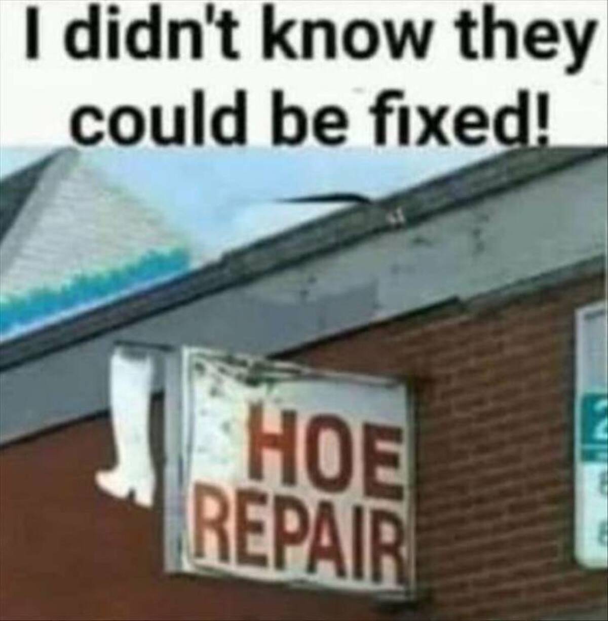 roof - I didn't know they could be fixed! Hoe Repair