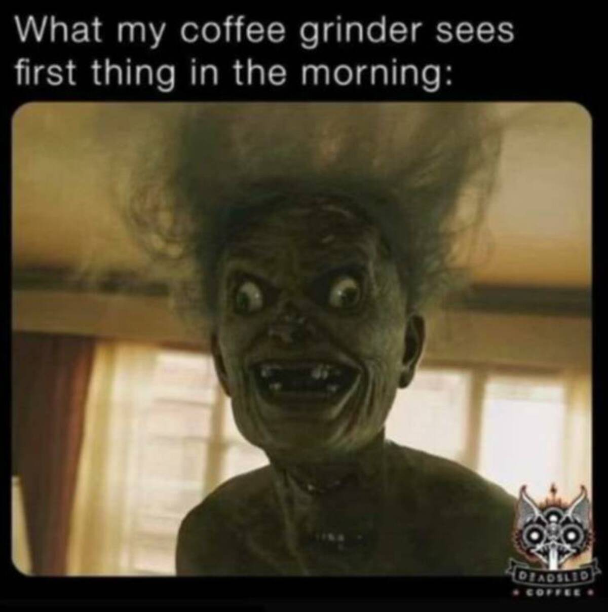 starlight meme - What my coffee grinder sees first thing in the morning Diadiled Coffee