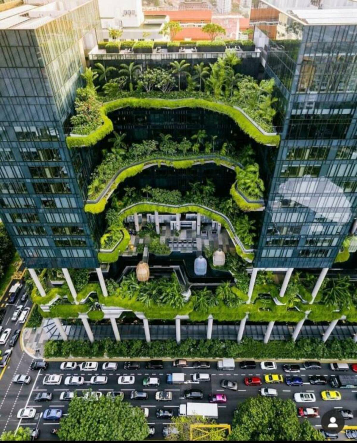 singapore nature building