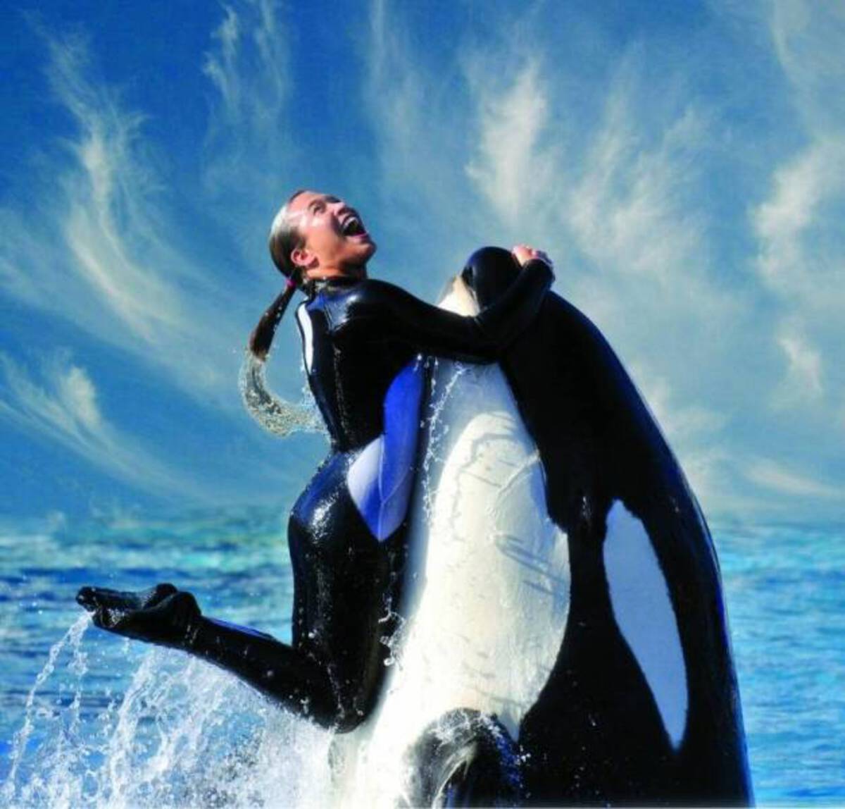 seaworld trainer