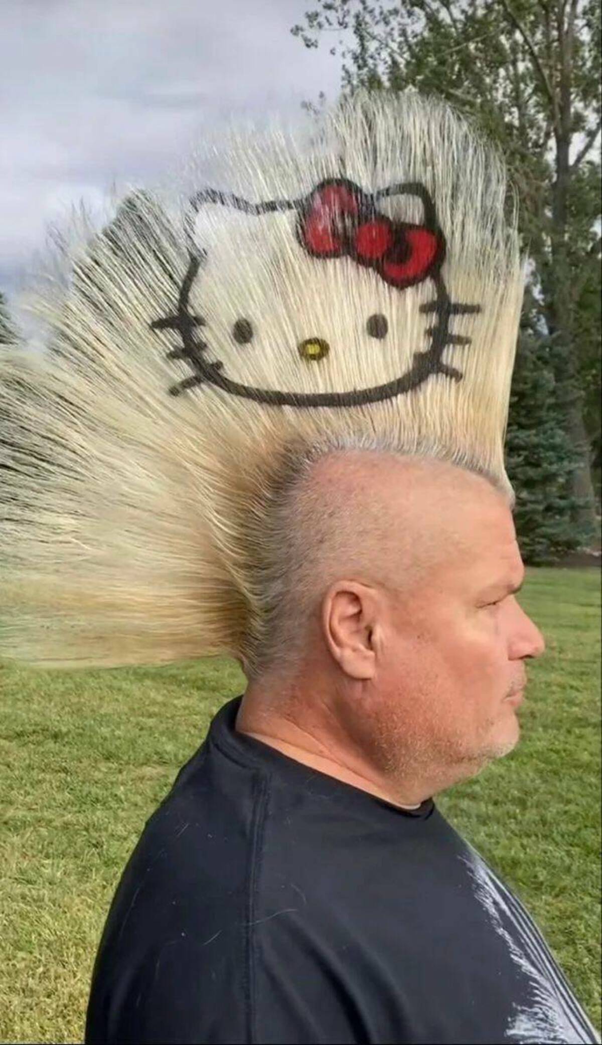 hello kitty mohawk