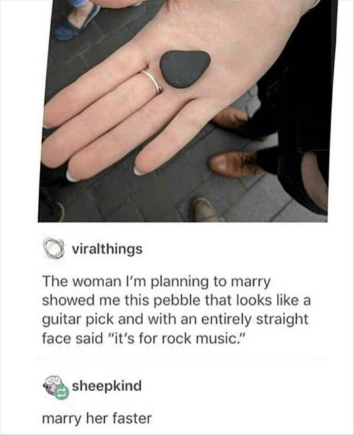 relationship memes - viralthings The woman I'm planning to marry showed me this pebble that looks a guitar pick and with an entirely straight face said "it's for rock music." sheepkind marry her faster