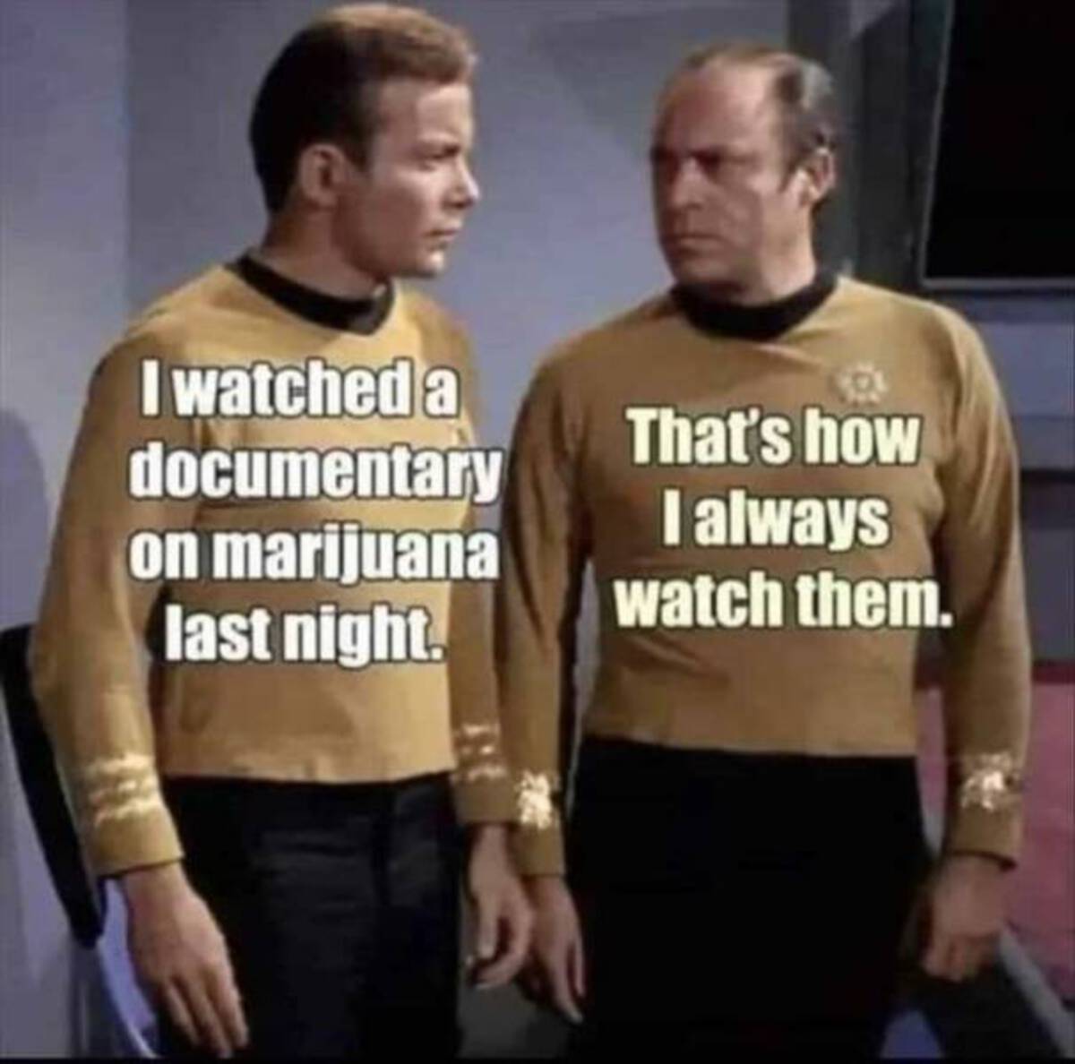 watched a documentary on marijuana - I watched a documentary on marijuana last night. That's how I always watch them.