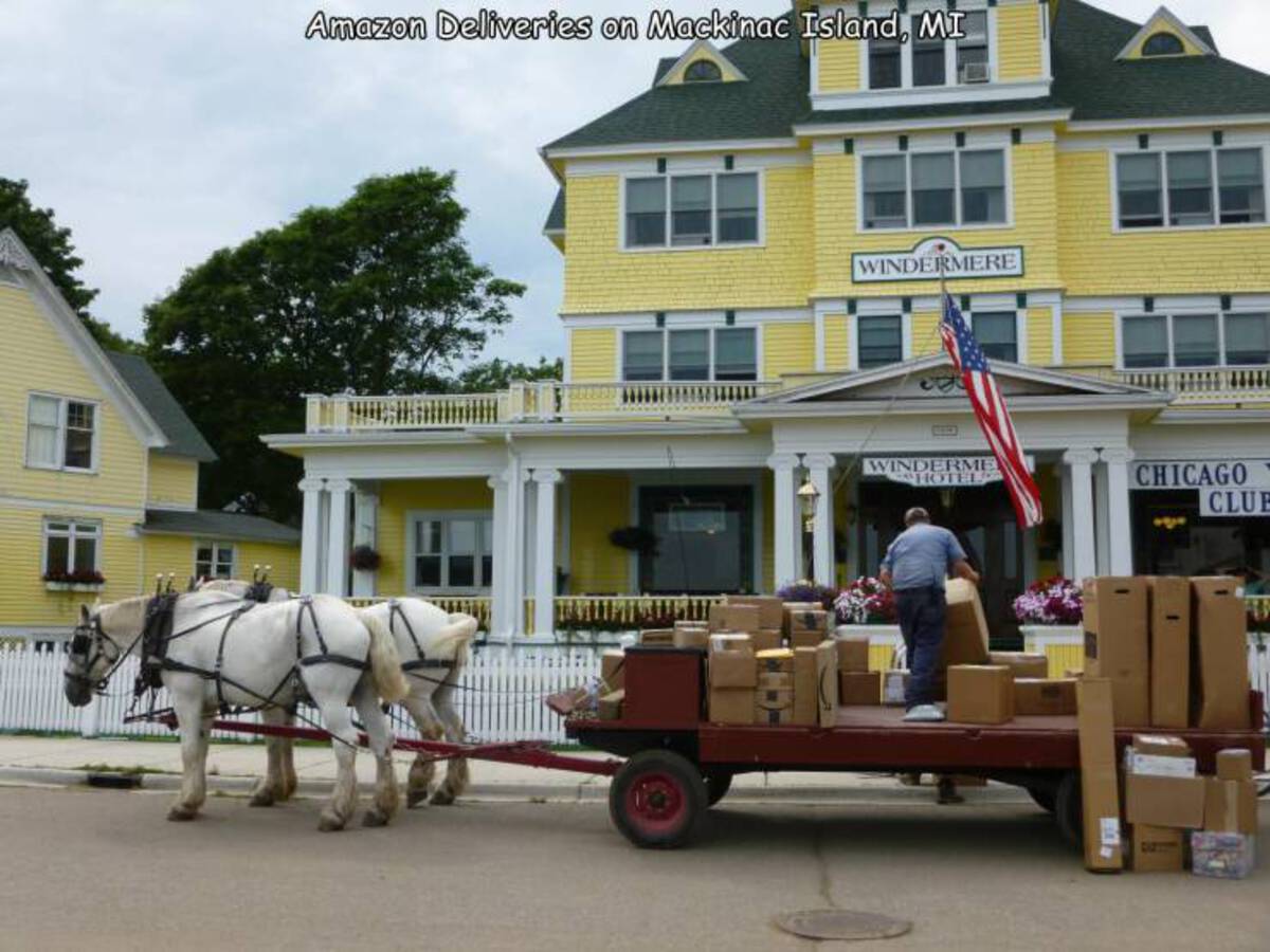 mare - Amazon Deliveries on Mackinac Island, Mi Windermere Winderme Hotelspr Chicago Clue