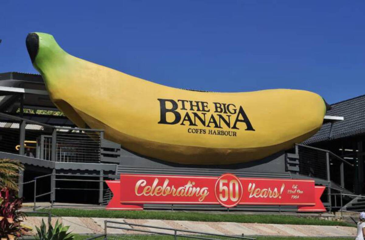 australia big banana - The Biga Coffs Harbour Celebrating 50 Years! Et 22nd Des 1964