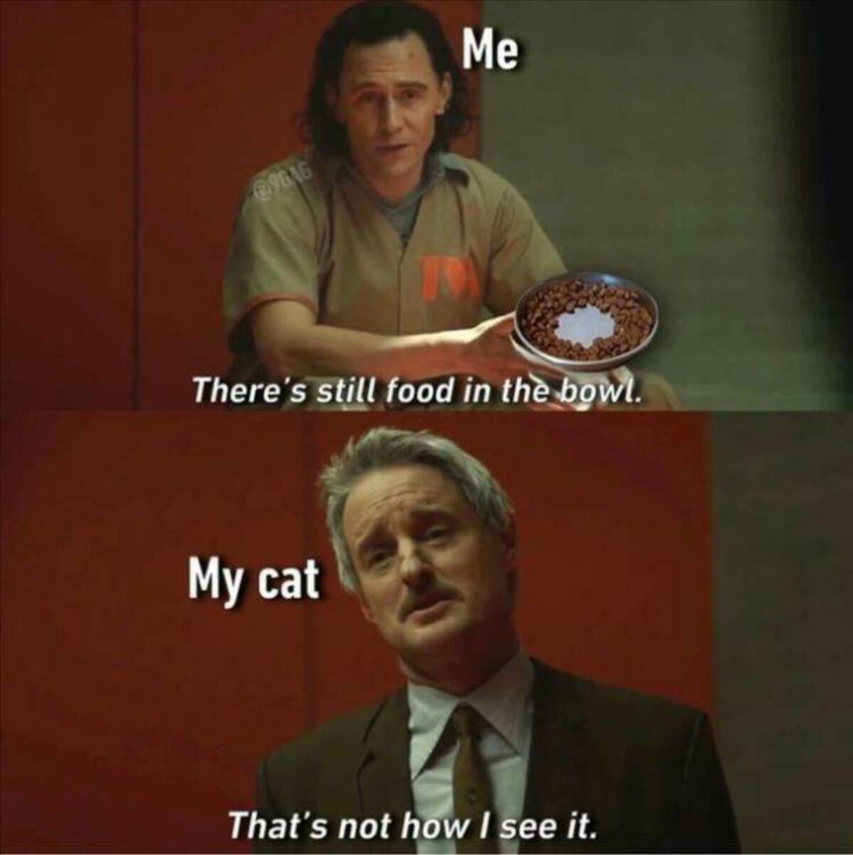 loki time memes - 9646 Me There's still food in the bowl. My cat That's not how I see it.