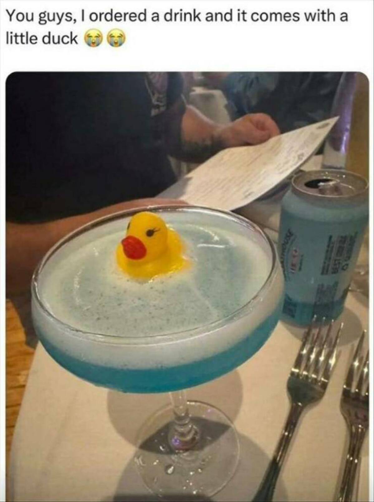 vodka martini - You guys, I ordered a drink and it comes with a little duck