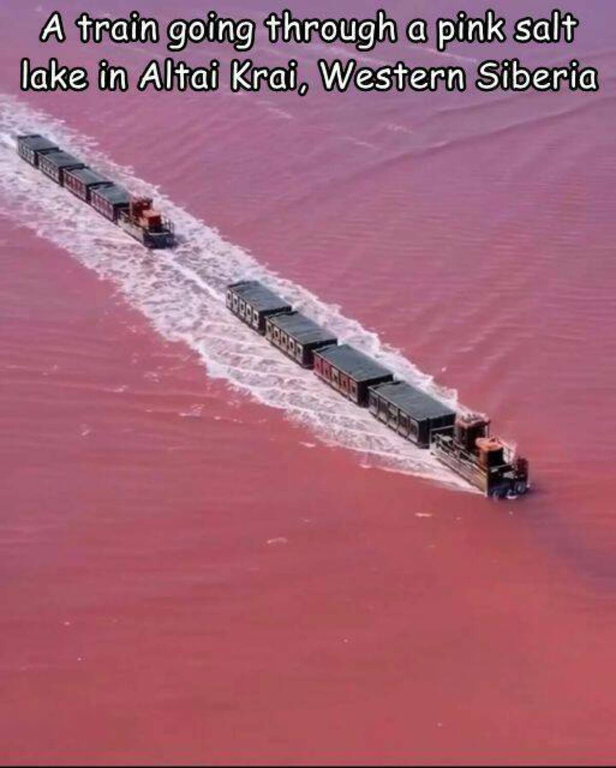 lake burlinskoye is a pink lake in siberia and a train runs through it