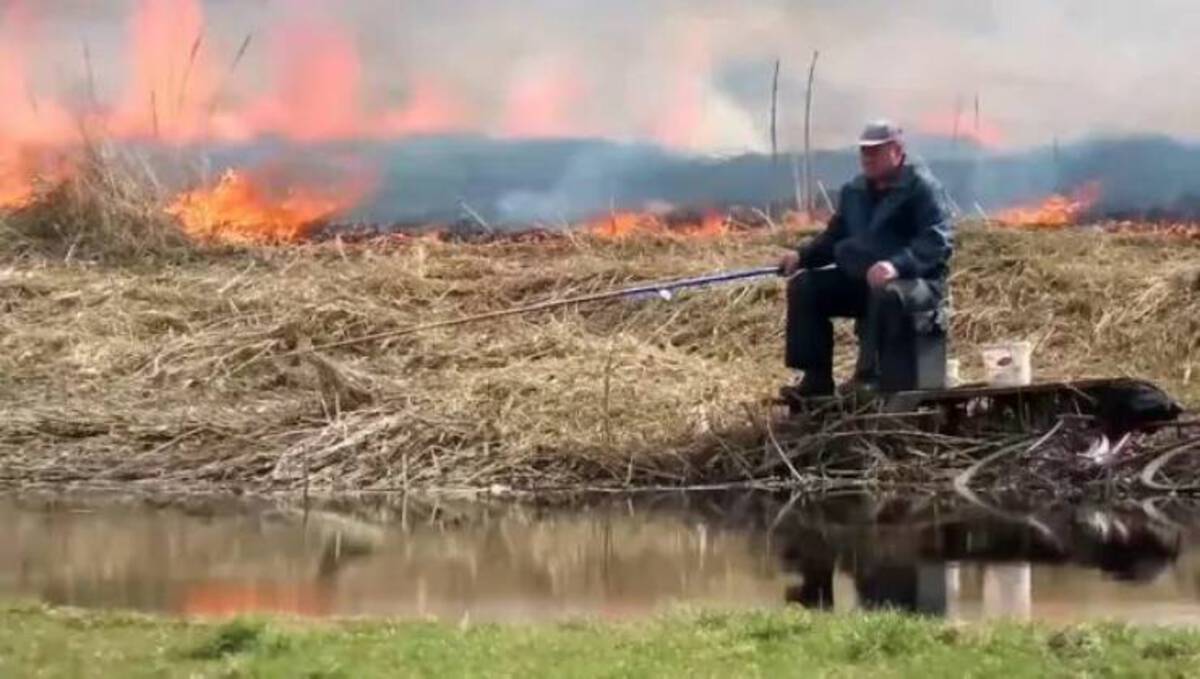 Fisherman