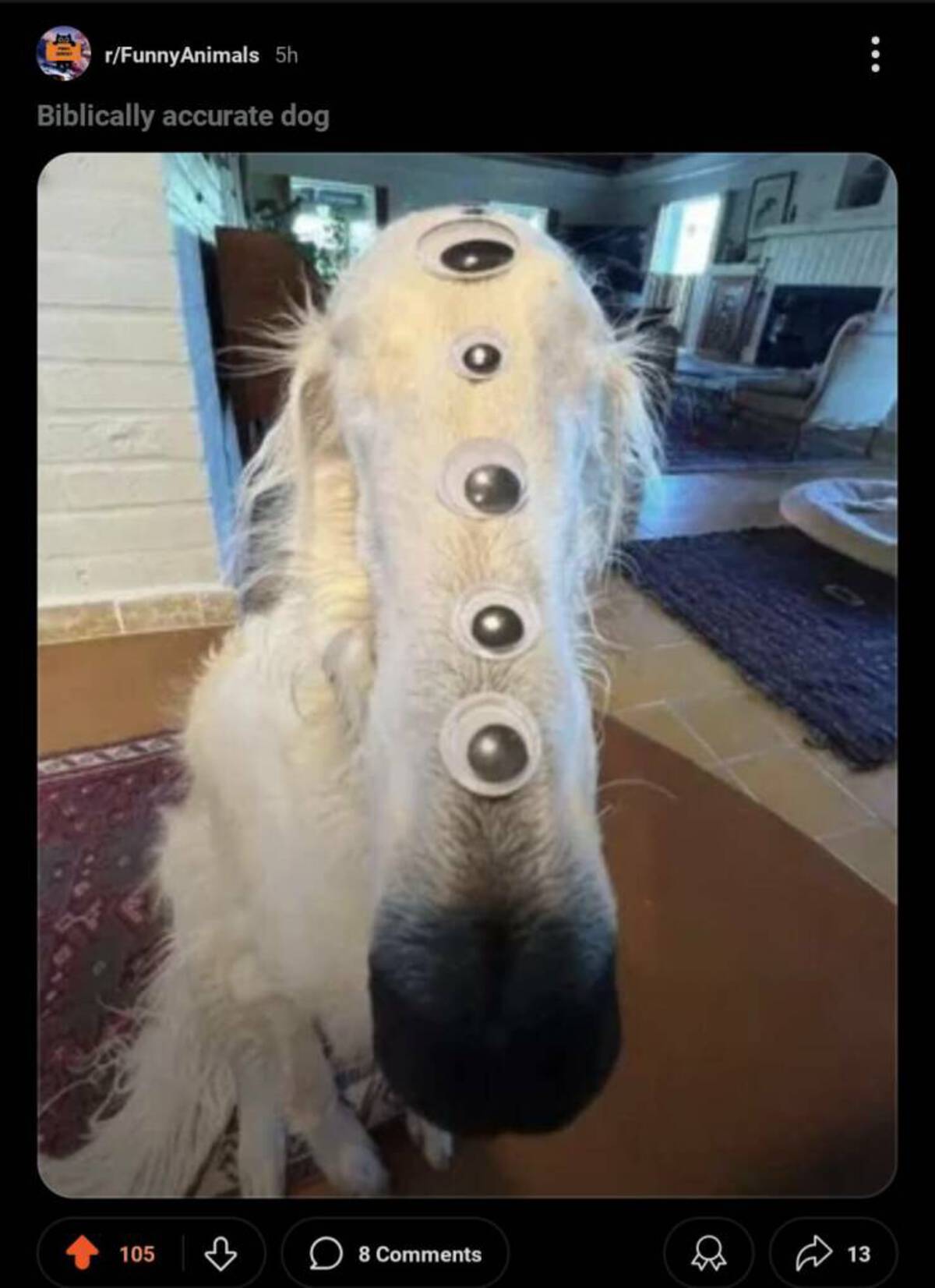 biblically accurate borzoi - rFunnyAnimals 5h Biblically accurate dog 105 8 13