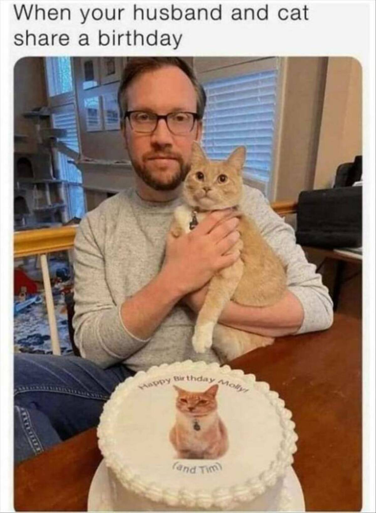 your husband and cat share a birthday - When your husband and cat a birthday Happy Birthday Molly and Tim