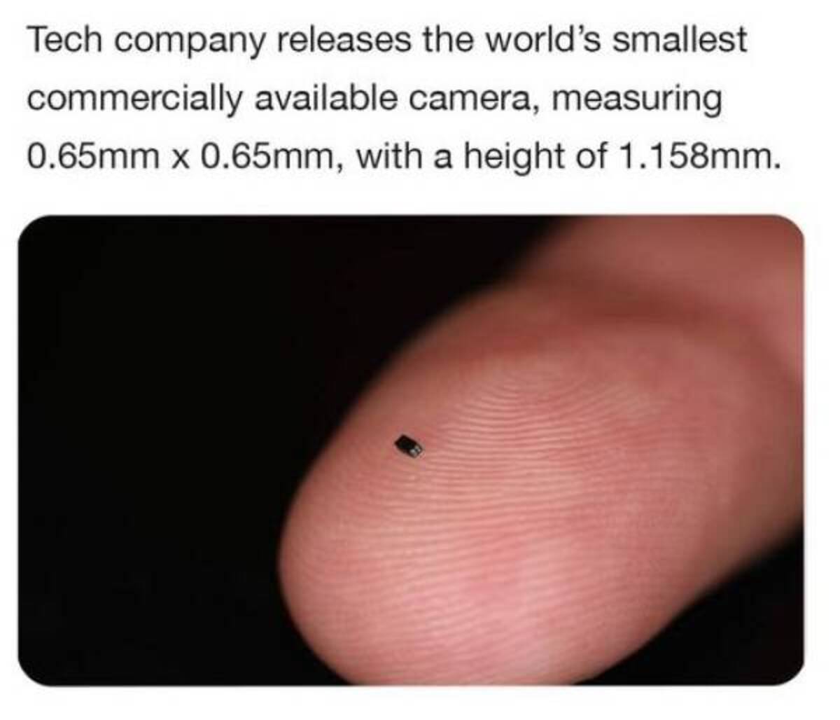 insect - Tech company releases the world's smallest commercially available camera, measuring 0.65mm x 0.65mm, with a height of 1.158mm.