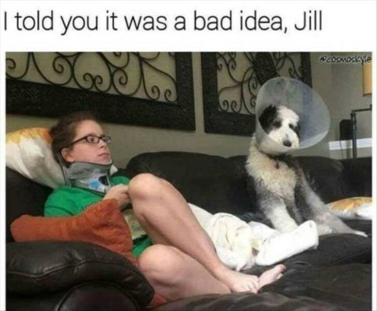 Internet meme - I told you it was a bad idea, Jill Det