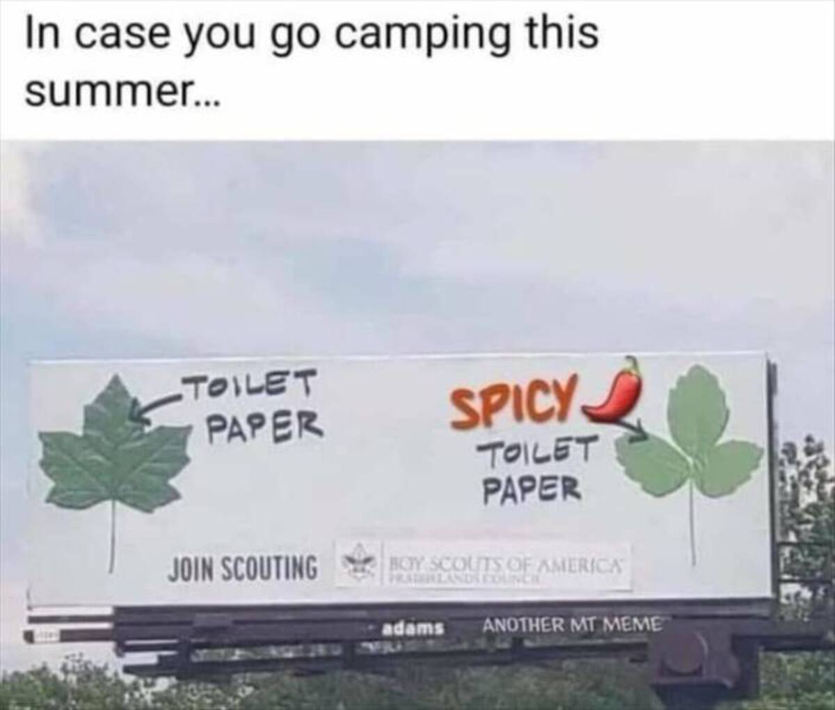 In case you go camping this summer... Toilet Paper Join Scouting Spicy Toilet Paper Boy Scouts Of America Pralands Council adams Another Mt Meme