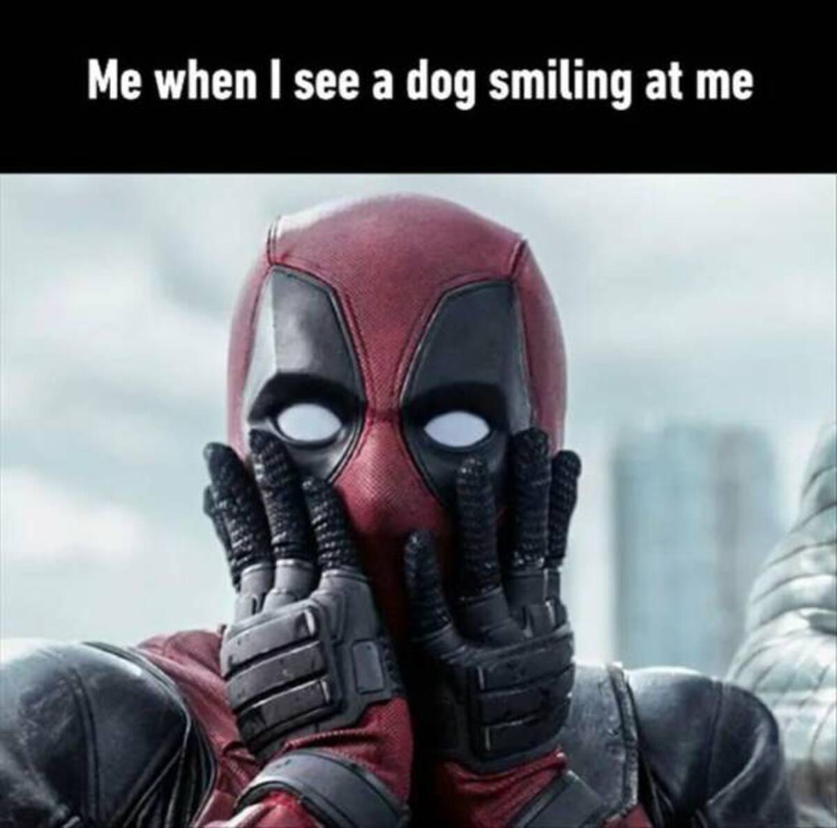 surprised marvel characters - Me when I see a dog smiling at me