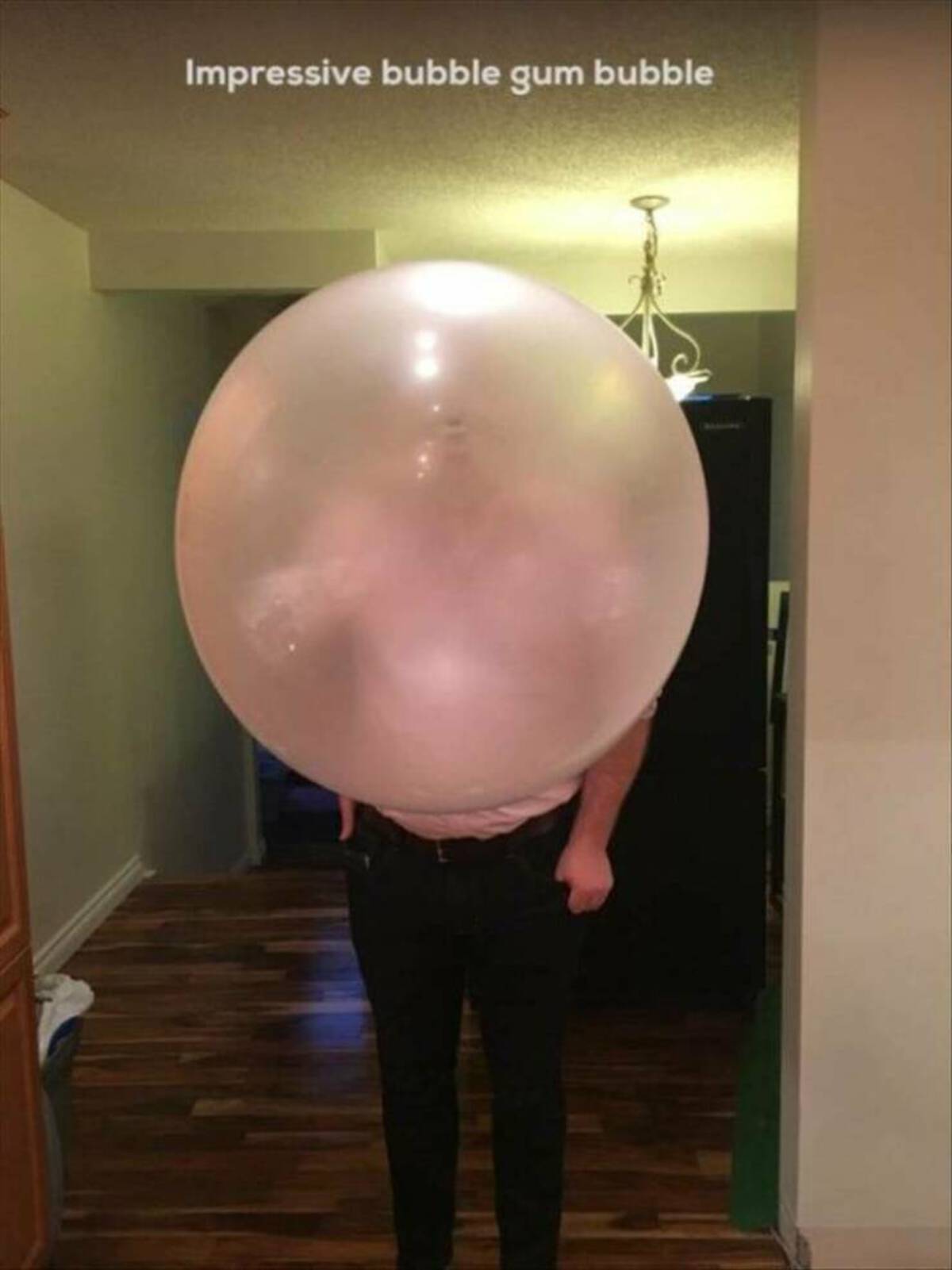 cool photos and funny memes - balloon - Impressive bubble gum bubble