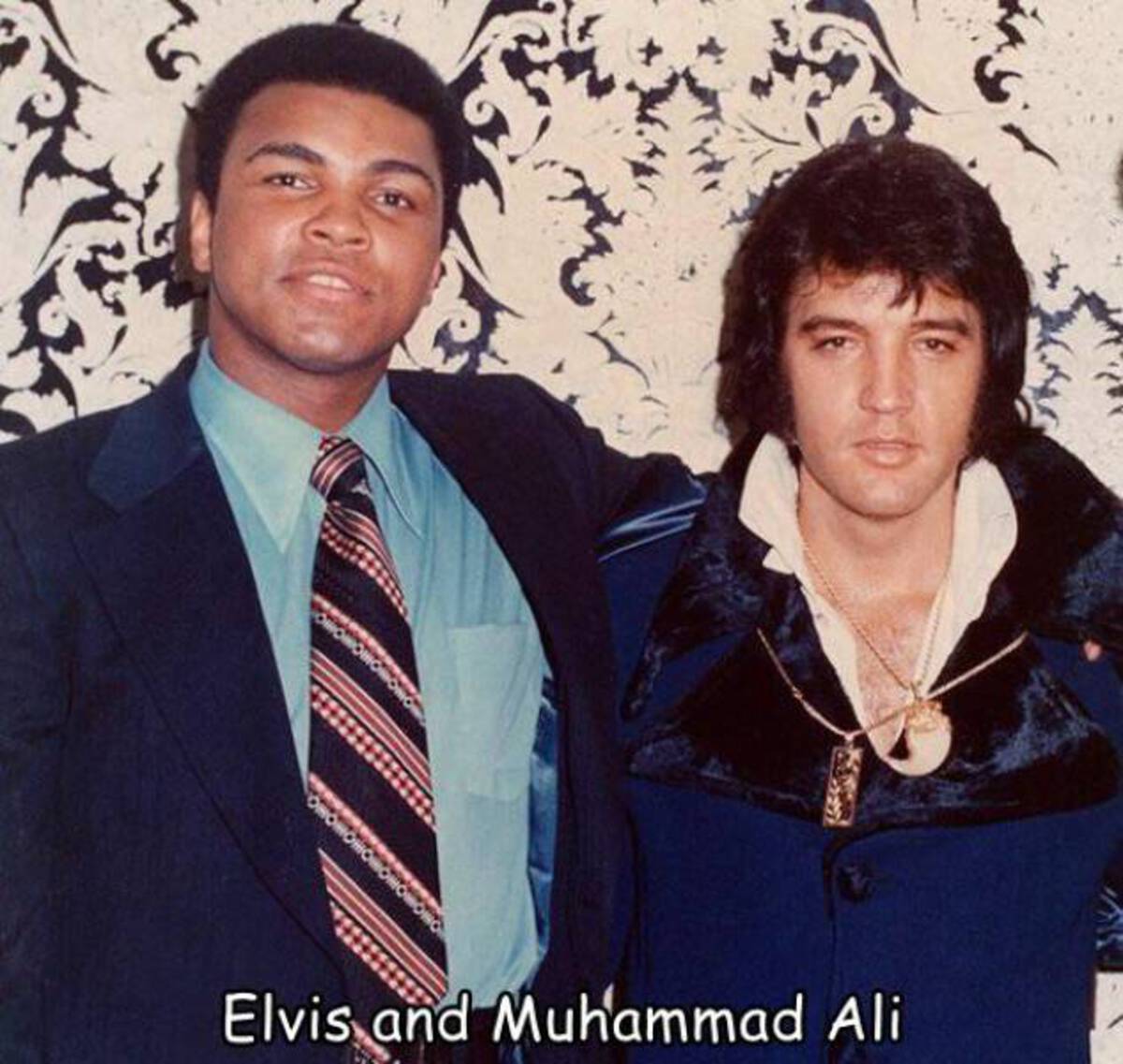 cool photos and funny memes - elvis presley muhammad ali - Elvis and Muhammad Ali