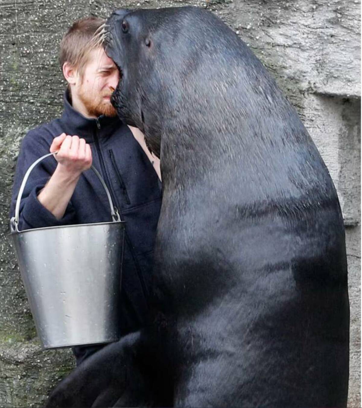 cool pics and fascinating photos - sea lion next to person