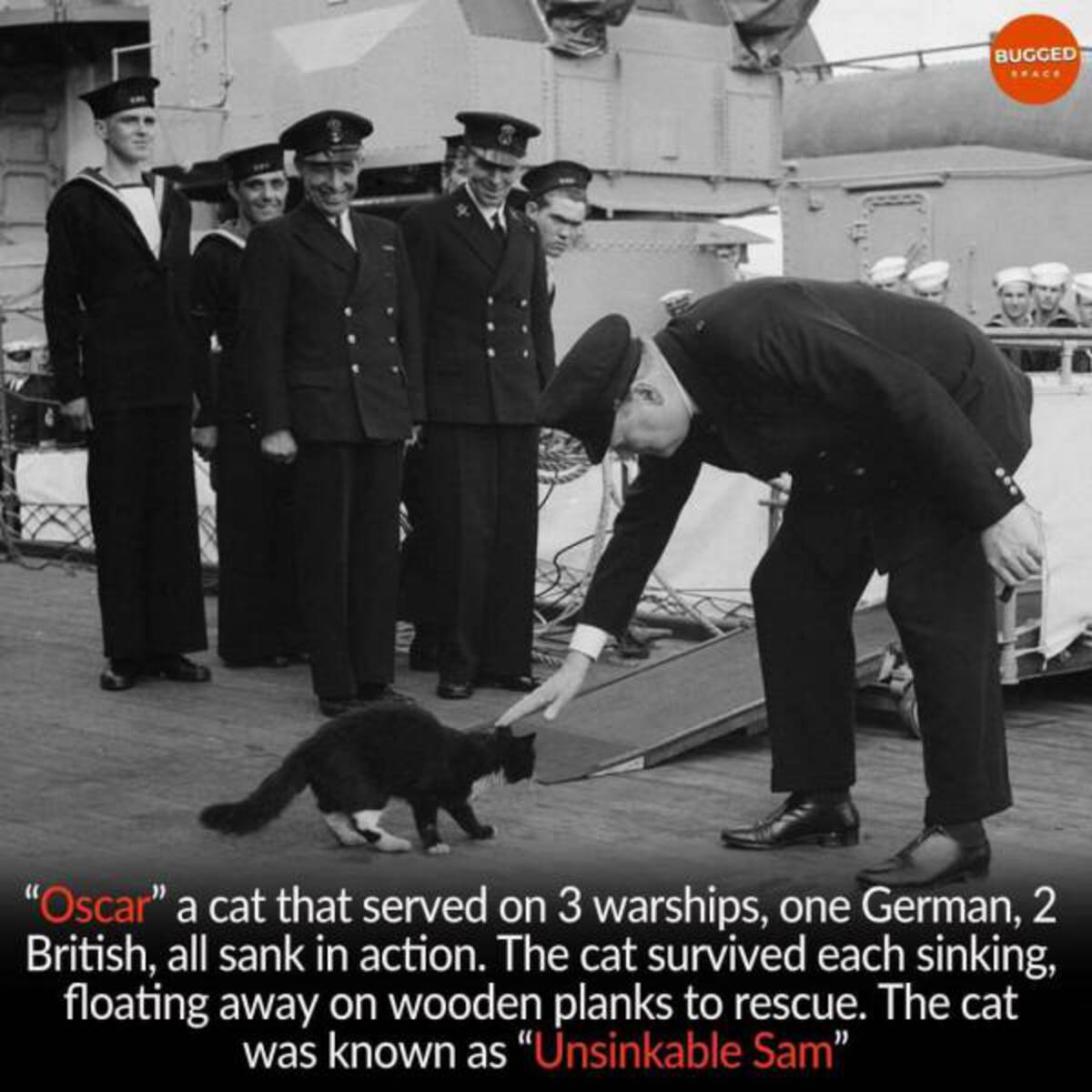 unsinkable sam cat - Bugged Space "Oscar" a cat that served on 3 warships, one German, 2 British, all sank in action. The cat survived each sinking, floating away on wooden planks to rescue. The cat was known as "Unsinkable Sam"