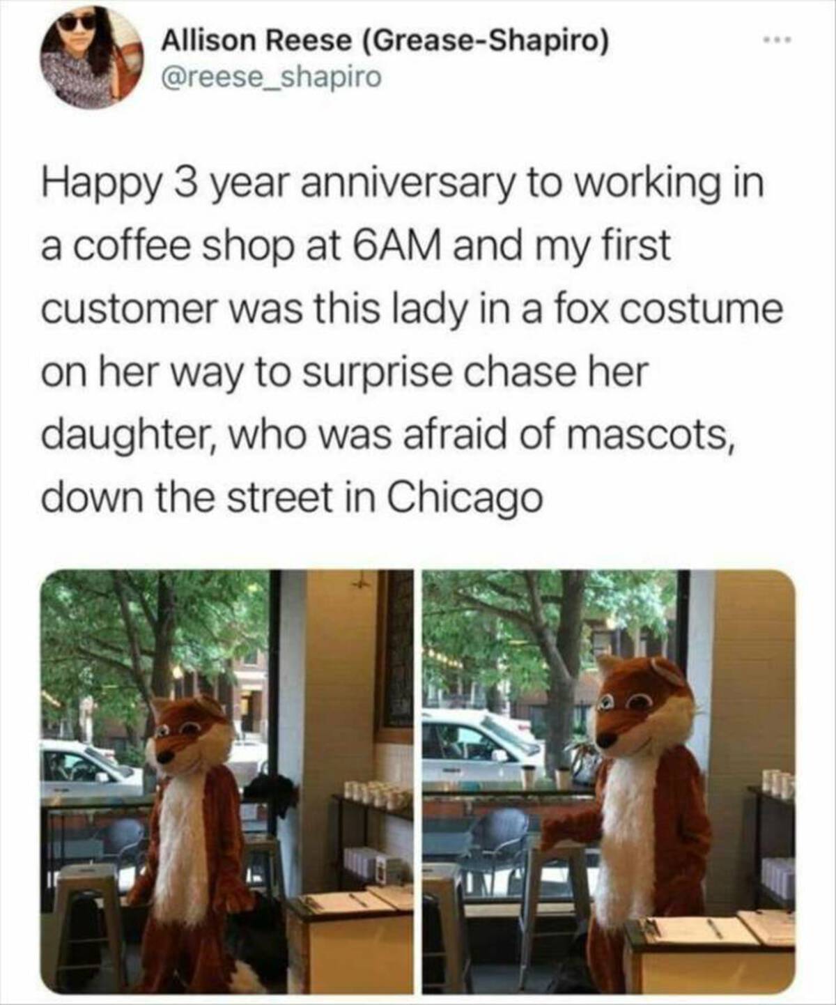 mascot surprise mom - Allison Reese GreaseShapiro Happy 3 year anniversary to working in a coffee shop at 6AM and my first customer was this lady in a fox costume on her way to surprise chase her daughter, who was afraid of mascots, down the street in Chi