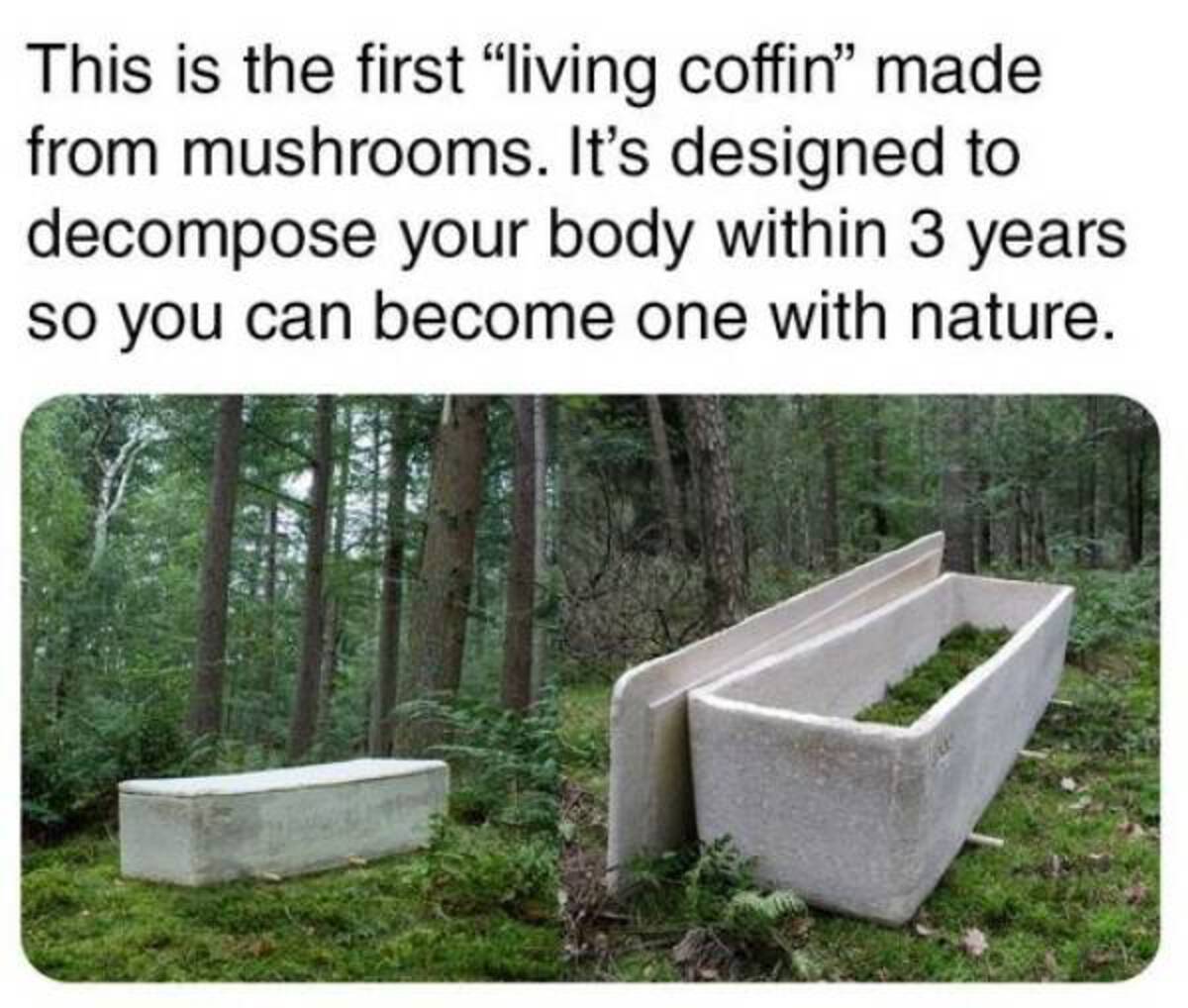 This is the first "living coffin" made from mushrooms. It's designed to decompose your body within 3 years so you can become one with nature.