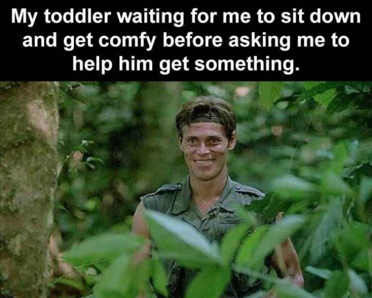 cool memes - My toddler waiting for me to sit down and get comfy before asking me to help him get something.