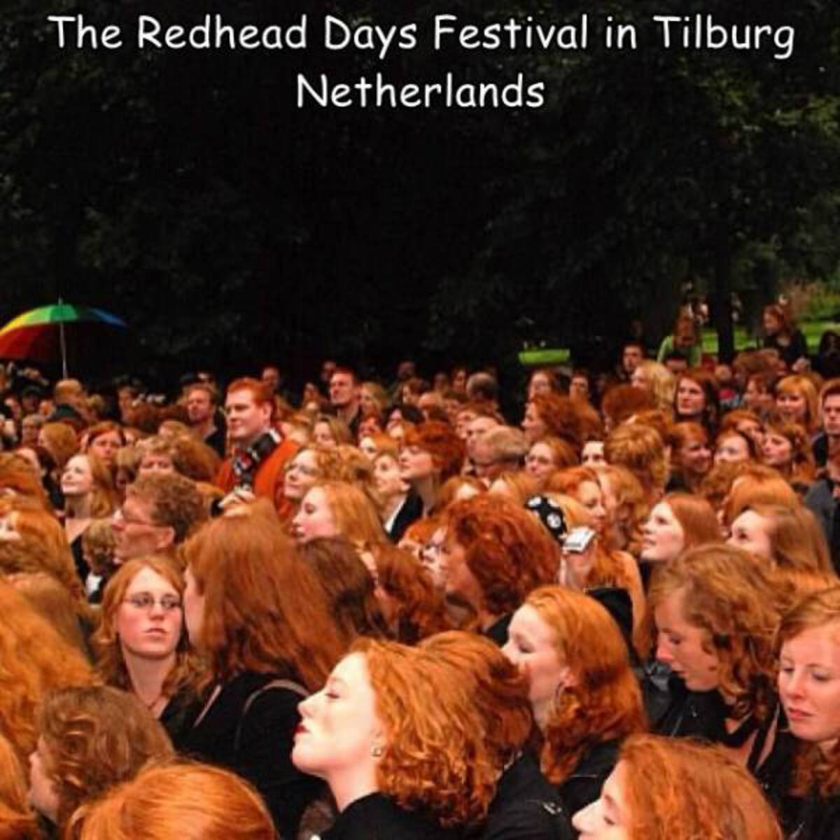 harry potter weasley family memes - The Redhead Days Festival in Tilburg Netherlands