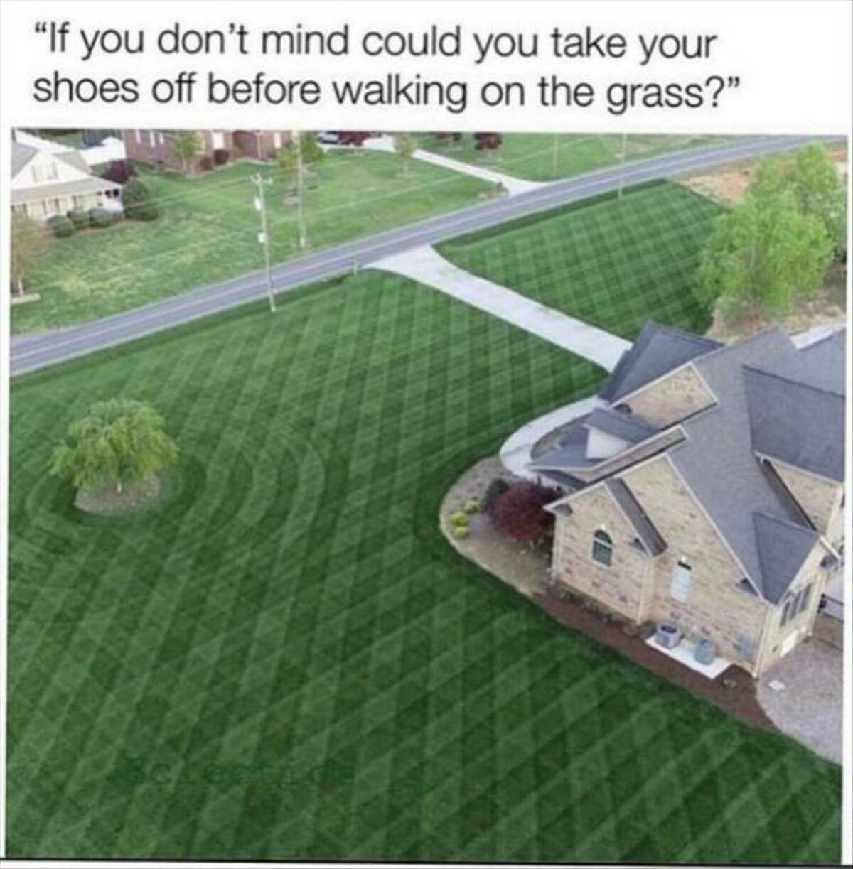 oddly satisfying yard - "If you don't mind could you take your shoes off before walking on the grass?"