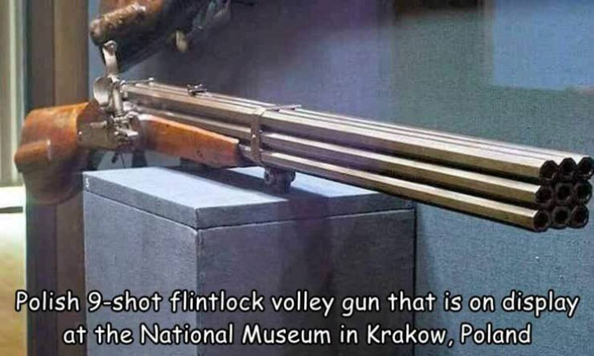 flintlock musket - Polish 9shot flintlock volley gun that is on display at the National Museum in Krakow, Poland