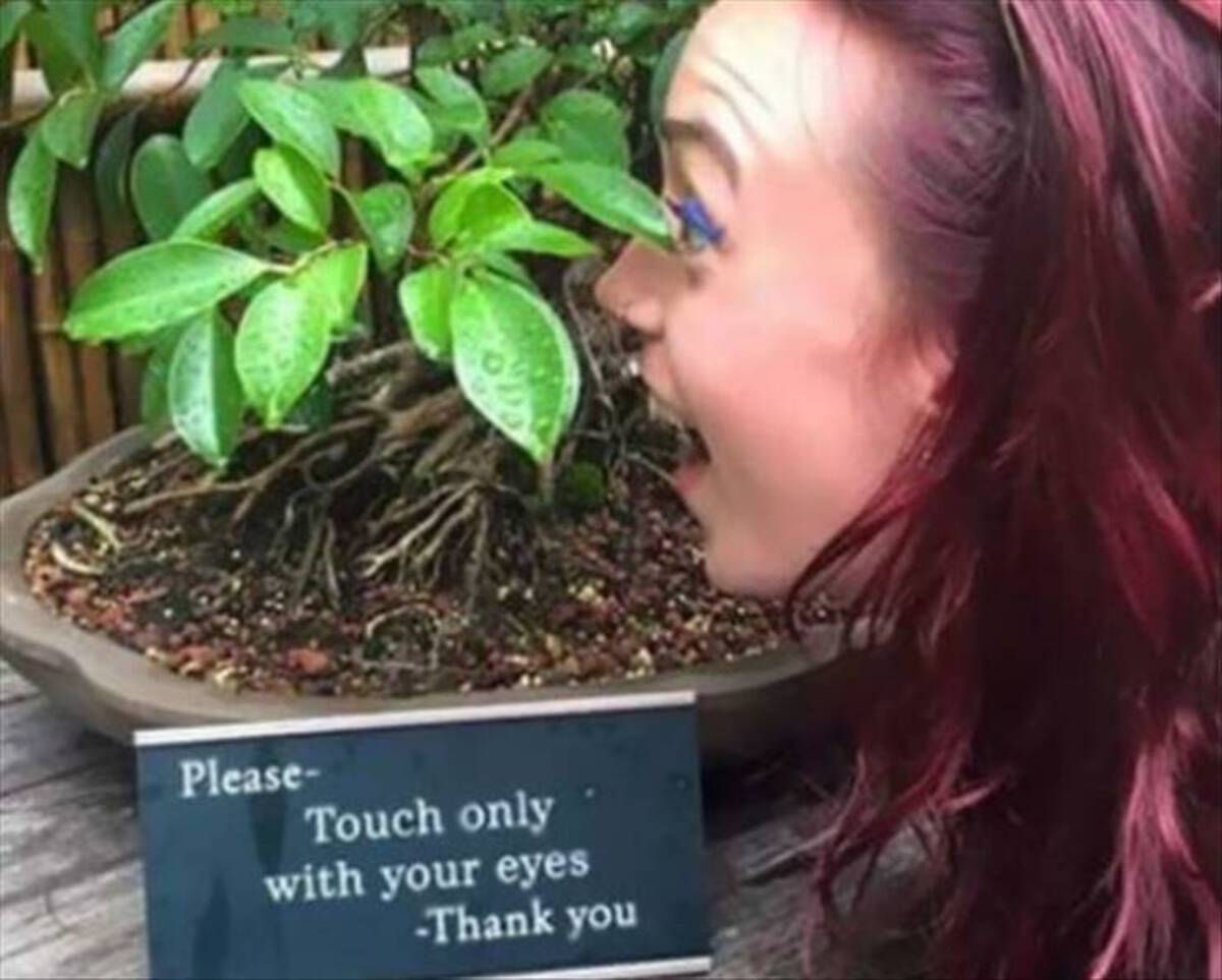 touch only with your eyes - Please Touch only with your eyes Thank you