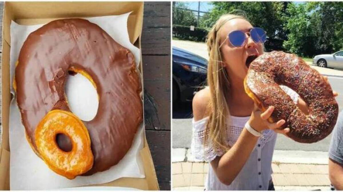 round rock texas sized donut