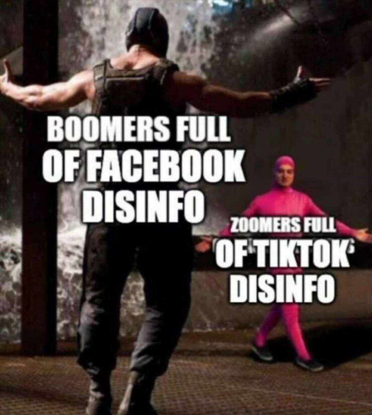 bane vs pink guy karen - Boomers Full Of Facebook Disinfo Zoomers Full Of Tiktok Disinfo