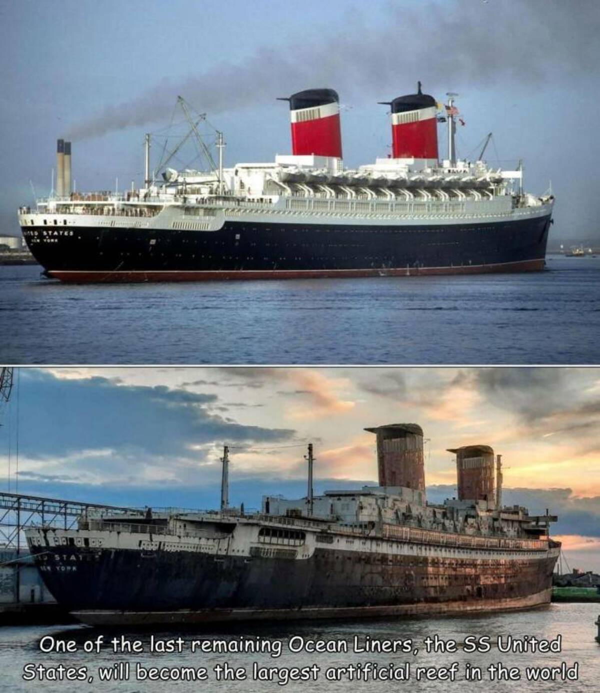 ocean liner - Stat One of the last remaining Ocean Liners, the Ss United States, will become the largest artificial reef in the world