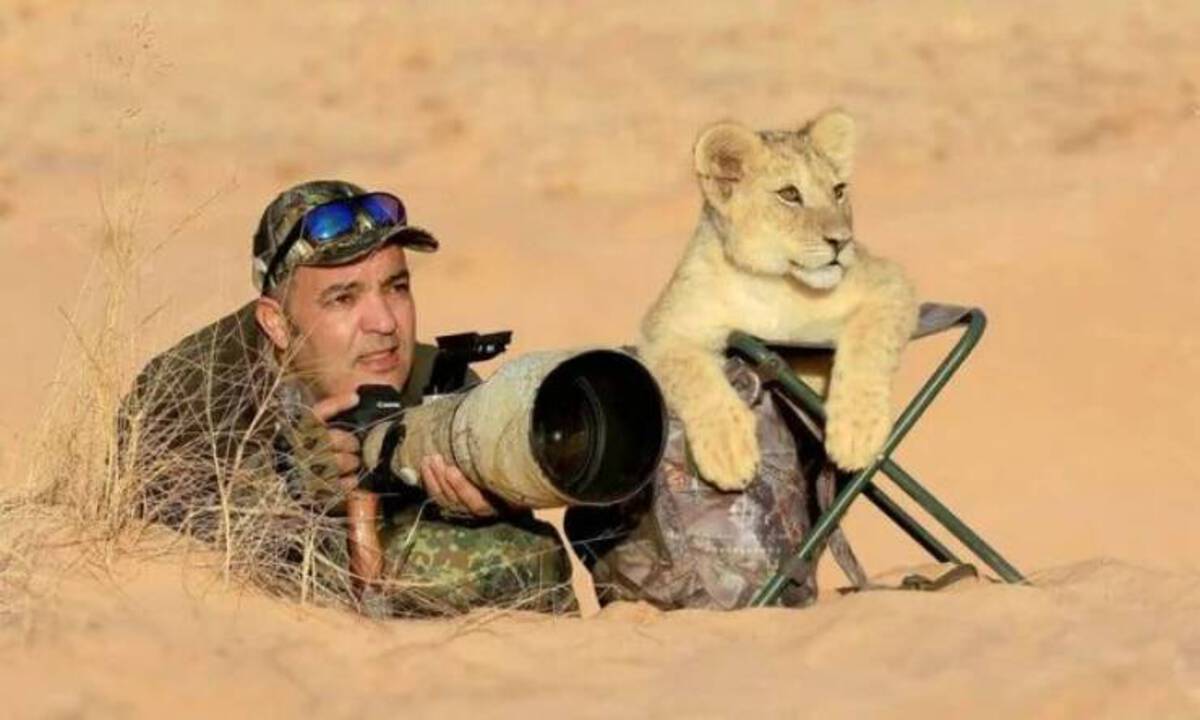 photographer with lion