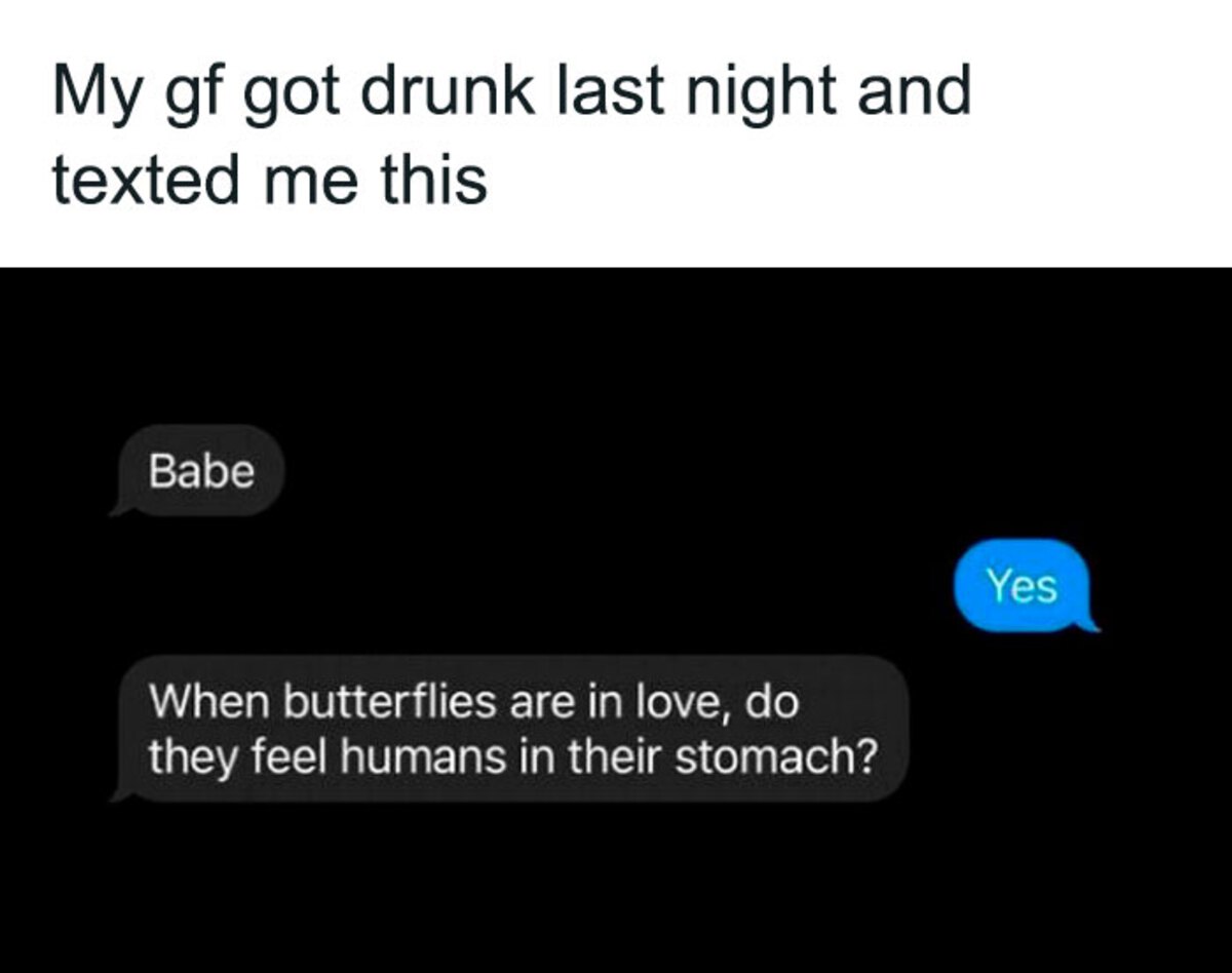 screenshot - My gf got drunk last night and texted me this Babe When butterflies are in love, do they feel humans in their stomach? Yes