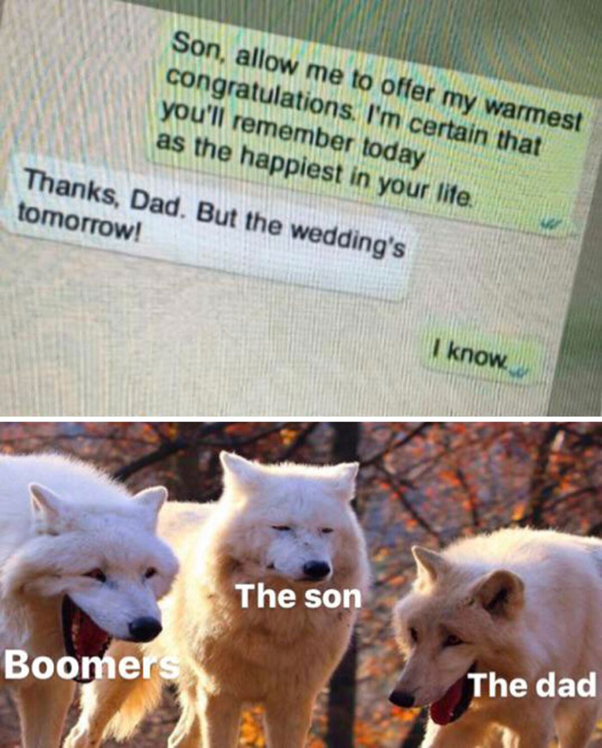 wolf laughing meme mum and dad - Son, allow me to offer my warmest congratulations. I'm certain that you'll remember today as the happiest in your life. Thanks, Dad. But the wedding's tomorrow! Boomers The son I know The dad