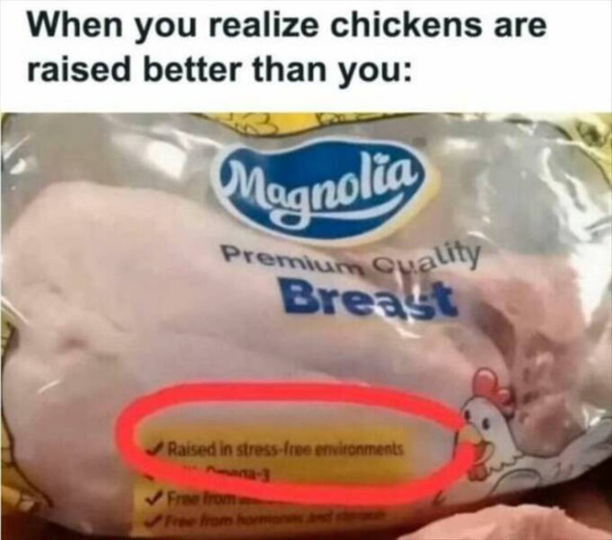 raised in stress free environment chicken - When you realize chickens are raised better than you Magnolia Premium Quality Breast Raised in stressfree environments Free from Free from hormon