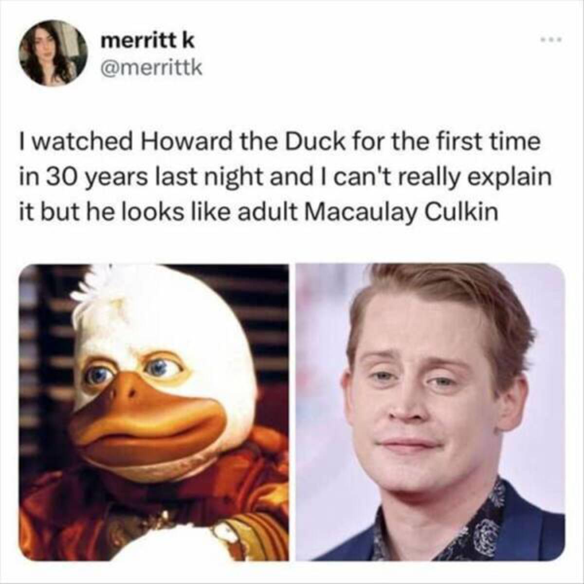 howard the duck - merritt k I watched Howard the Duck for the first time in 30 years last night and I can't really explain it but he looks adult Macaulay Culkin