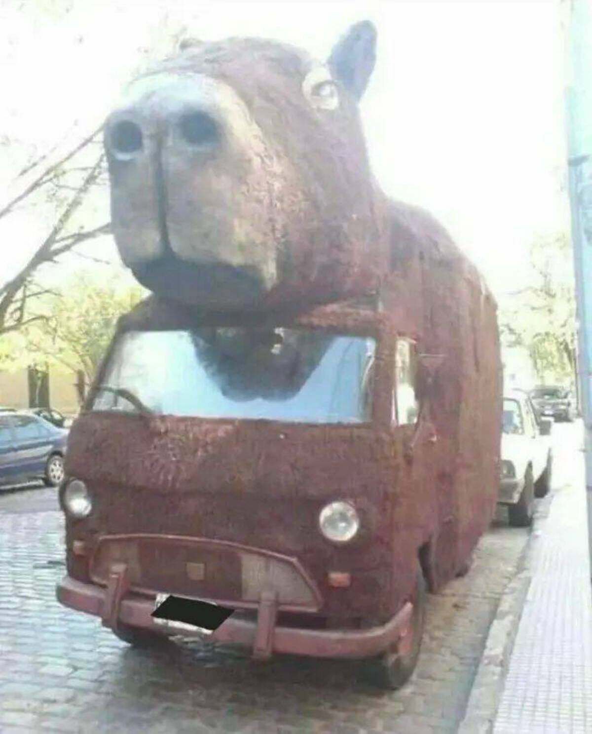 capybara car