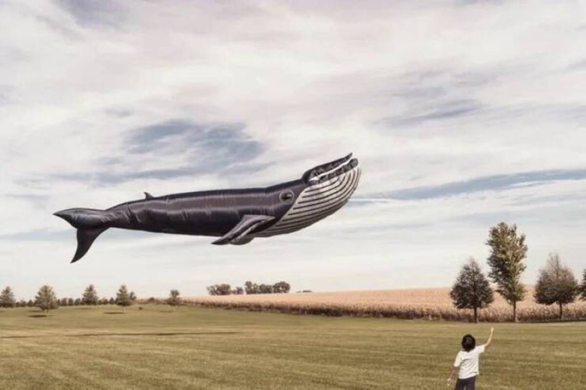 floating whale