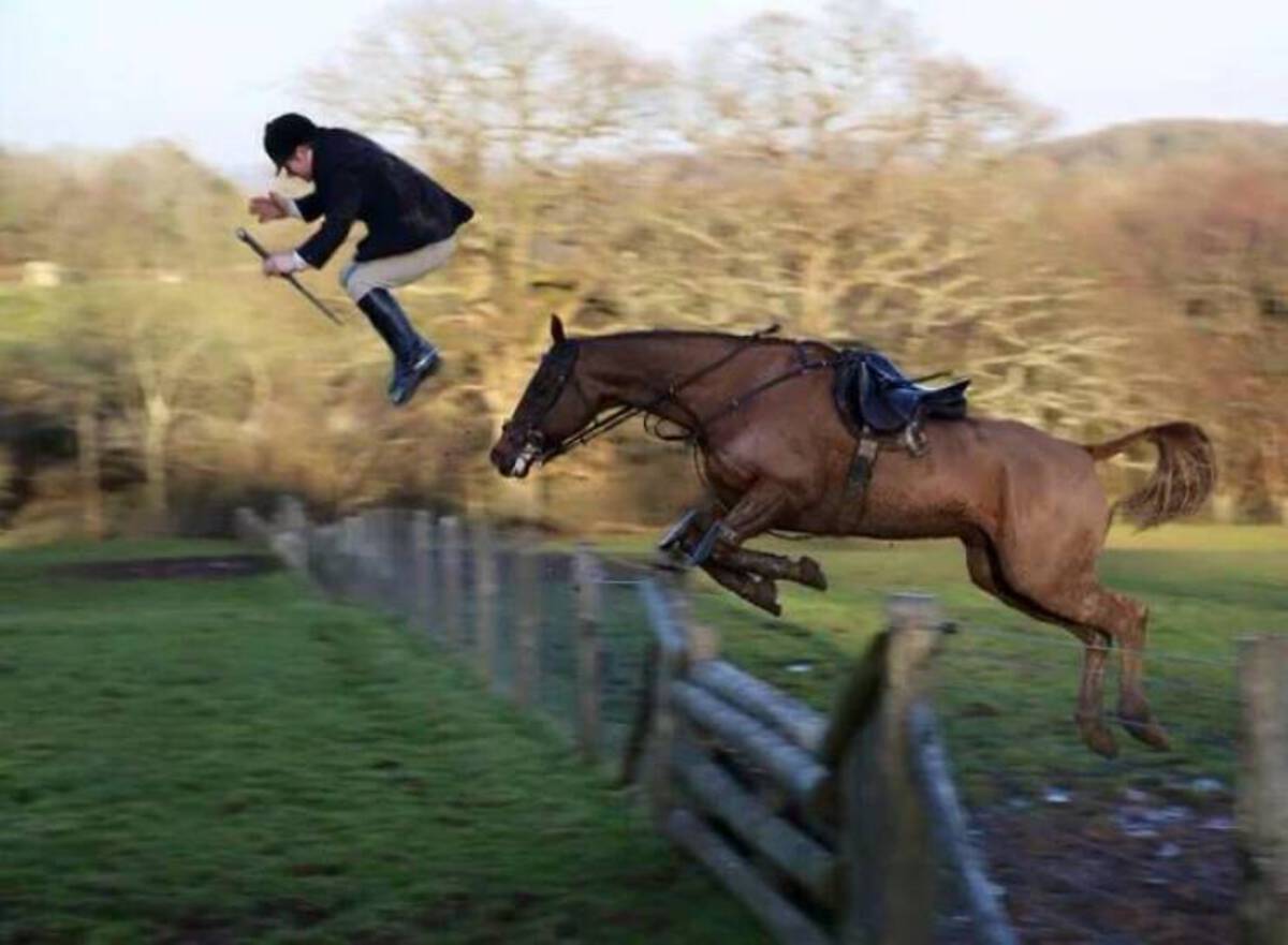 horse jumping photo funny