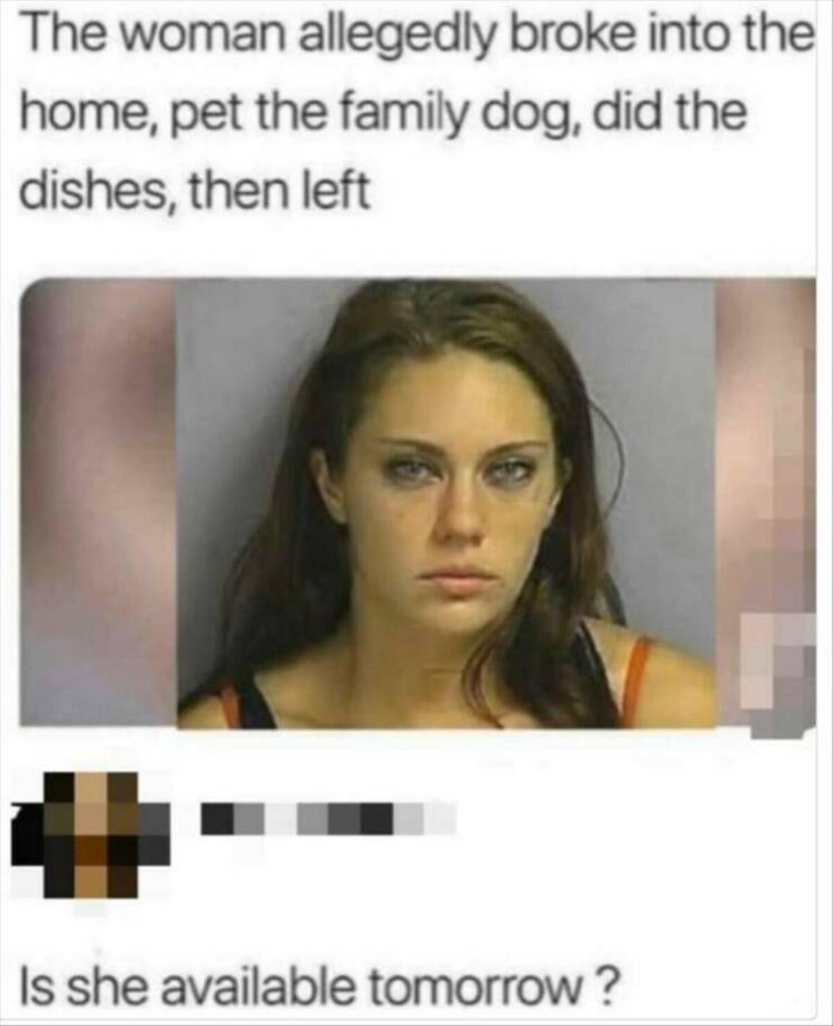 best memes august 2024 - The woman allegedly broke into the home, pet the family dog, did the dishes, then left Is she available tomorrow?