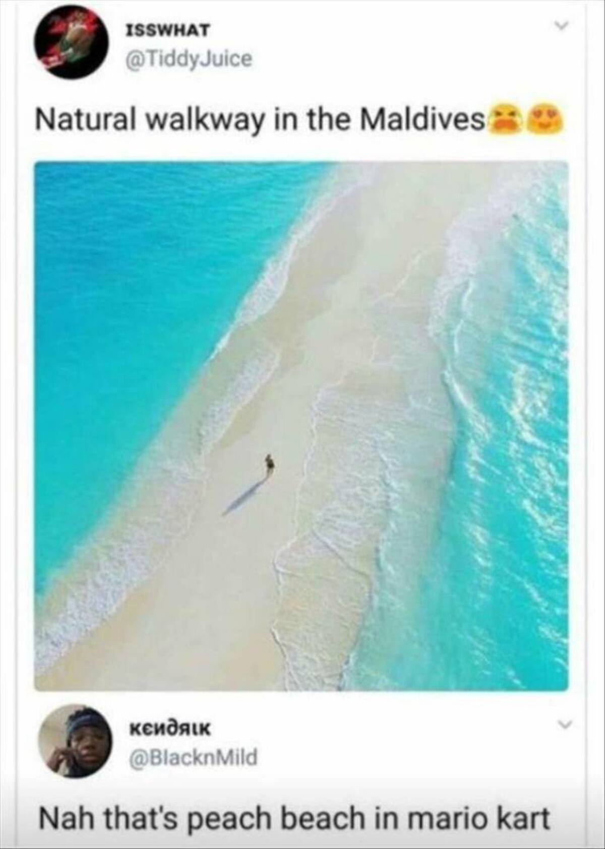 beach ridge - Isswhat Natural walkway in the Maldives Nah that's peach beach in mario kart