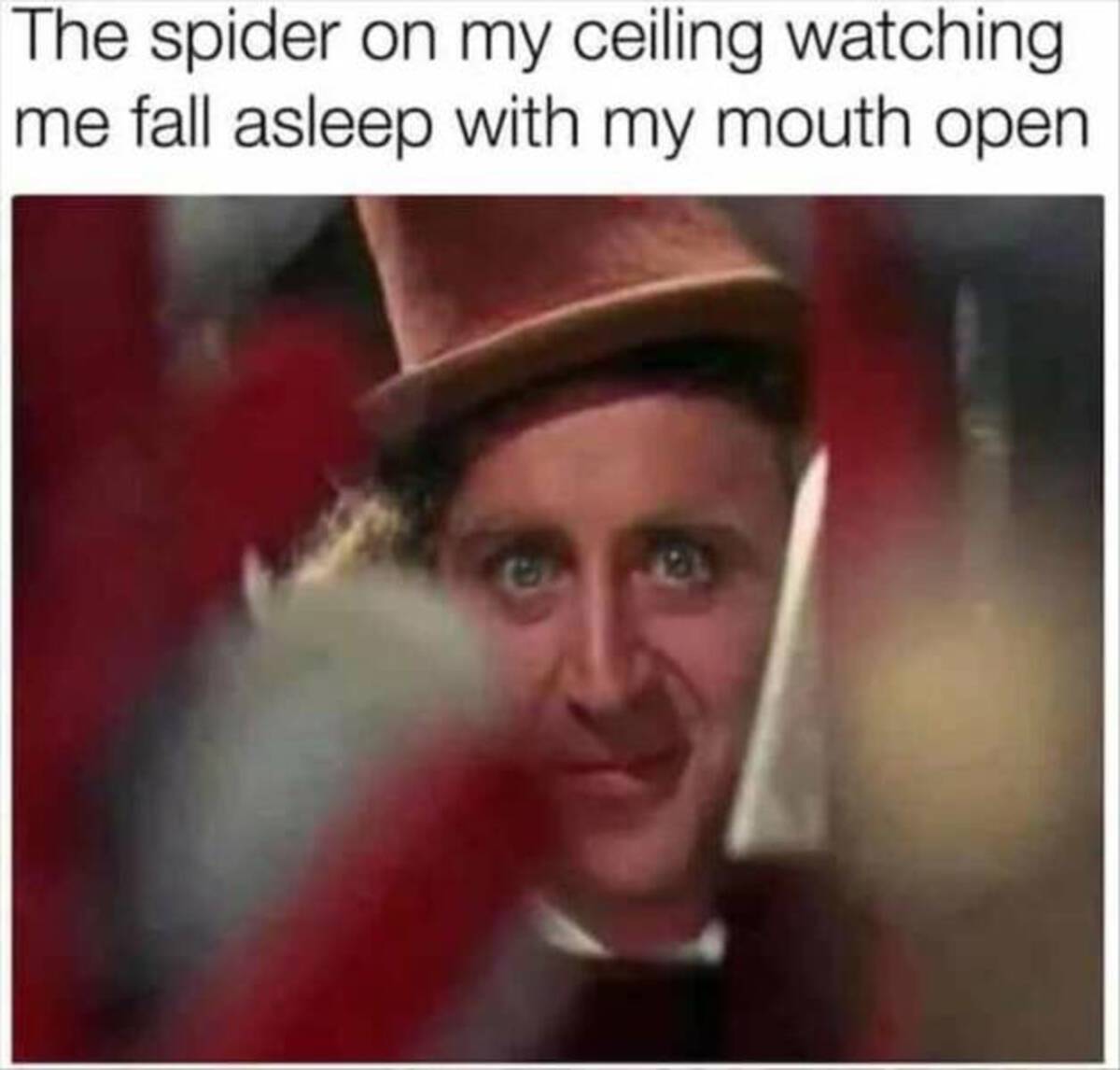 willy wonka radicalize meme - The spider on my ceiling watching me fall asleep with my mouth open