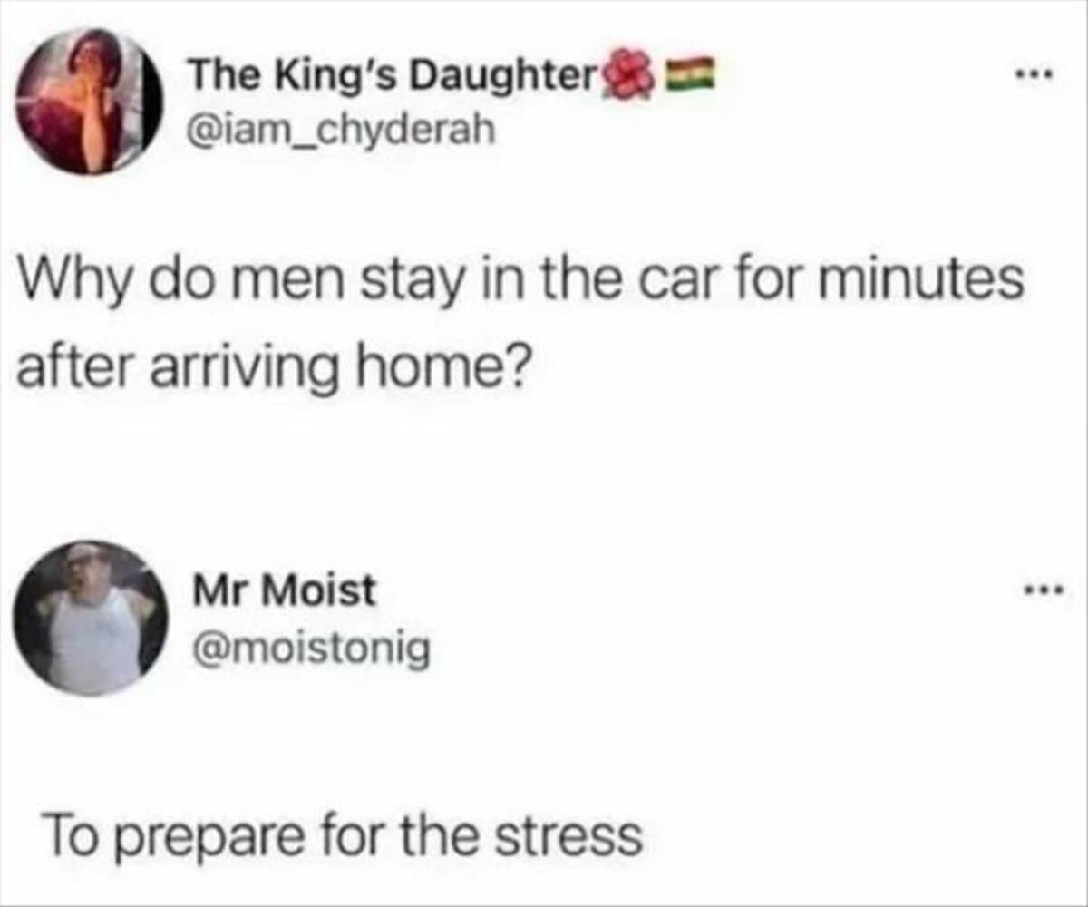 Internet meme - The King's Daughter & Why do men stay in the car for minutes after arriving home? Mr Moist To prepare for the stress ...