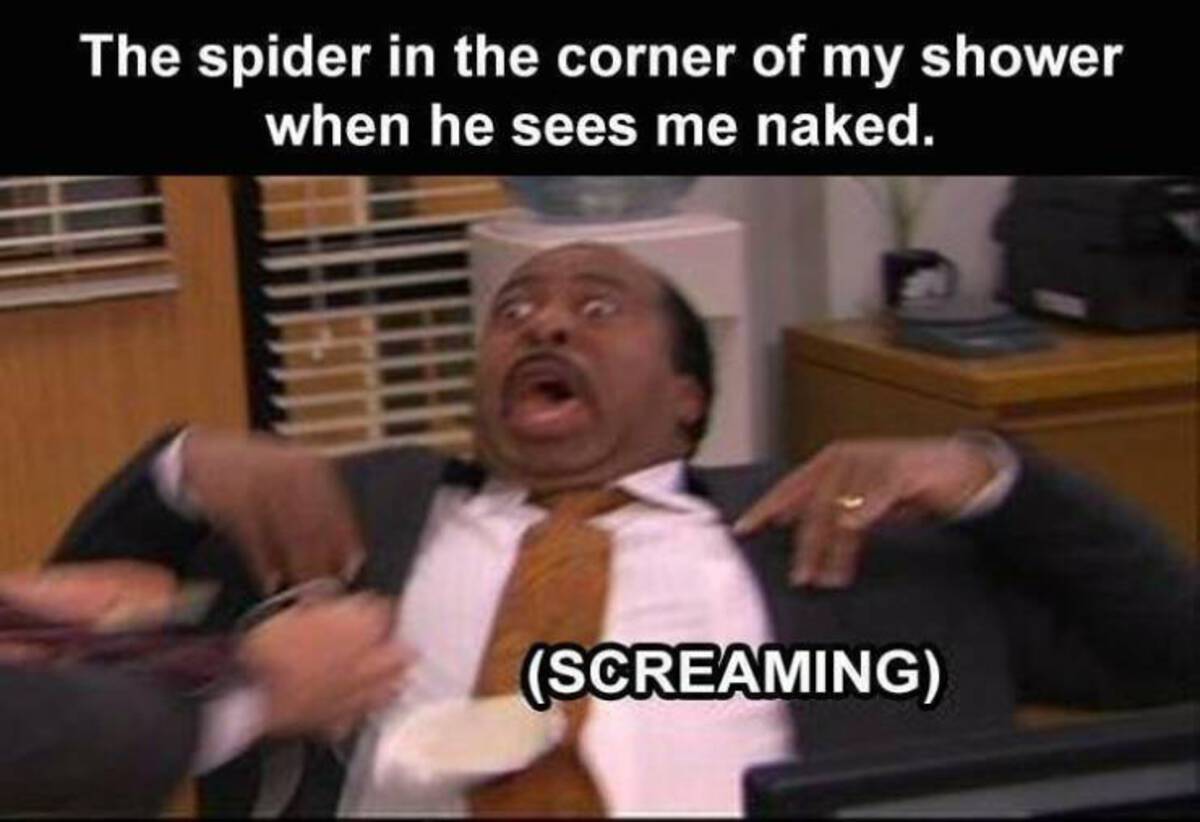 office reaction - The spider in the corner of my shower when he sees me naked. Screaming