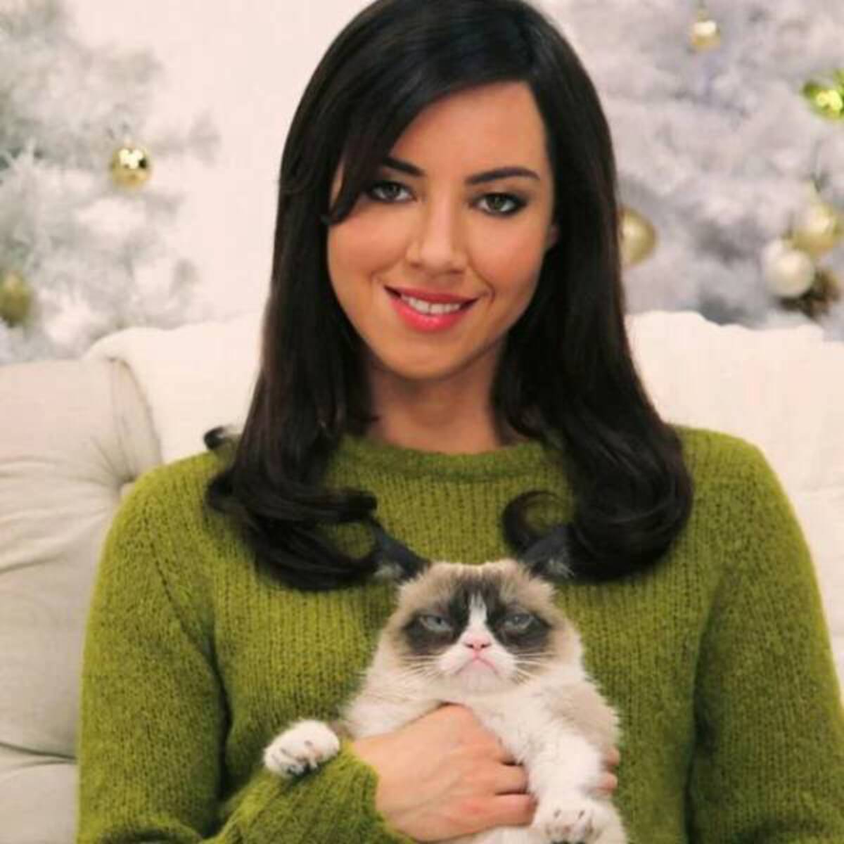 grumpy cat holiday special aubrey plaza