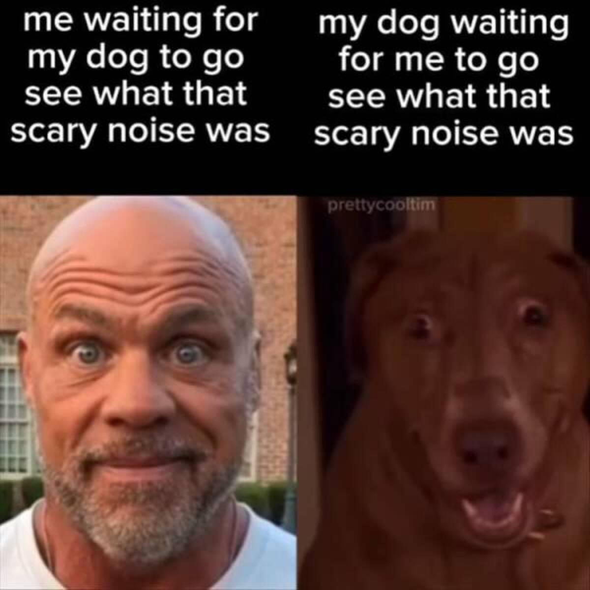 kurt angle meme - me waiting for my dog to go see what that scary noise was my dog waiting for me to go see what that scary noise was prettycooltim