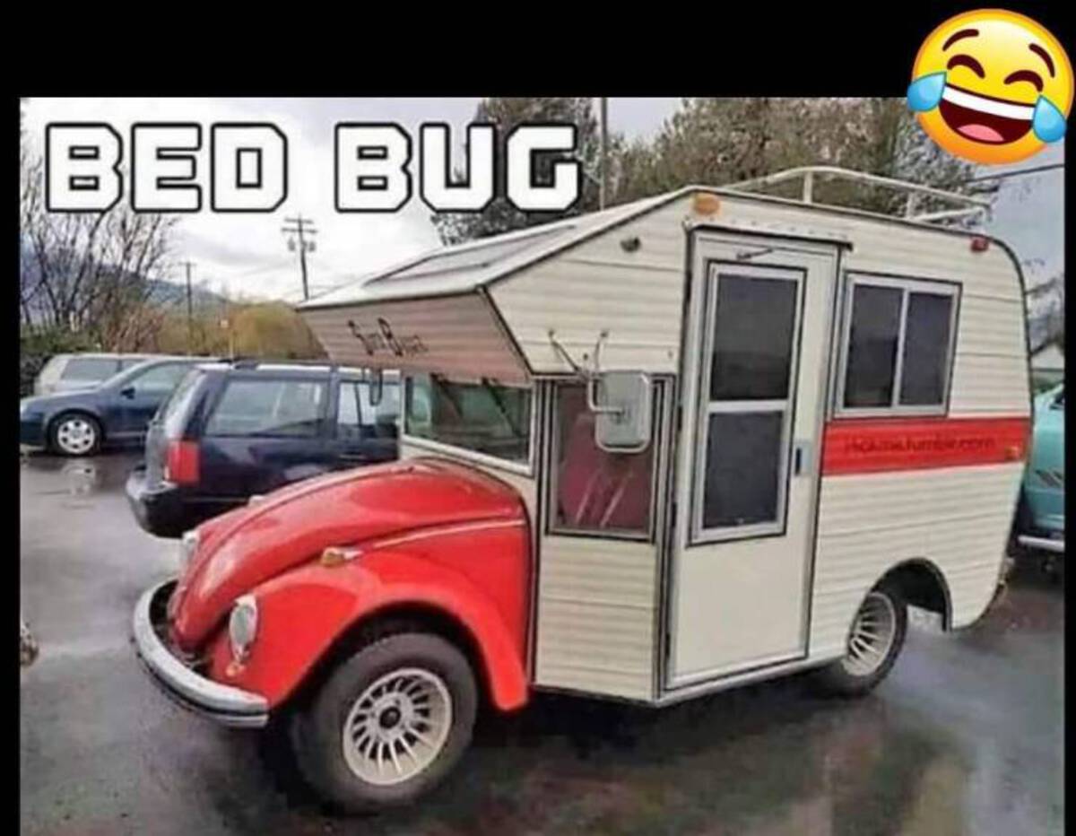 vw beetle camper - Bed Bug B